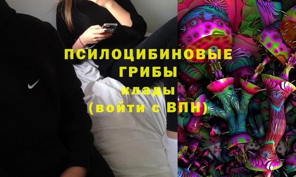 героин Алзамай