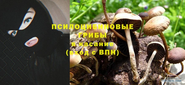 спиды Алексин